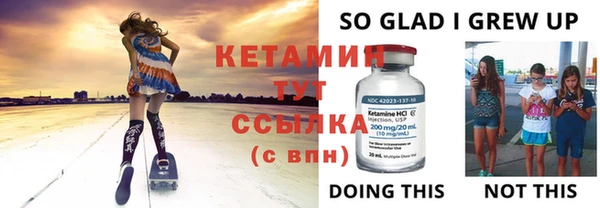 твердый Бородино