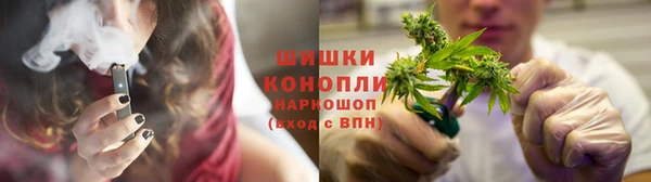 твердый Бородино