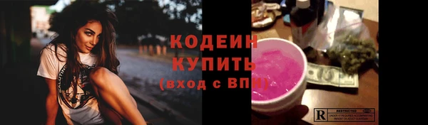 твердый Бородино