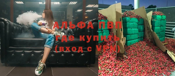 твердый Бородино