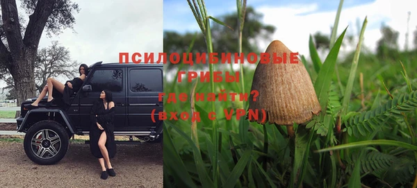 твердый Бородино