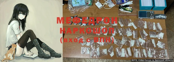 твердый Бородино