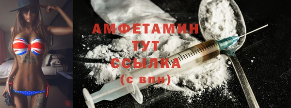 твердый Бородино