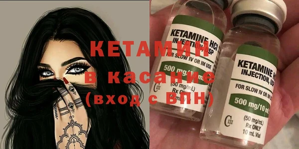твердый Бородино