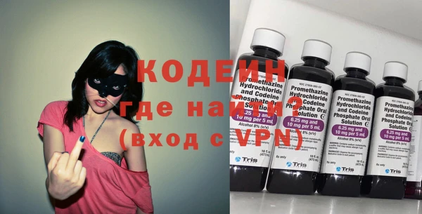 твердый Бородино