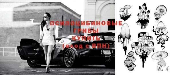 твердый Бородино