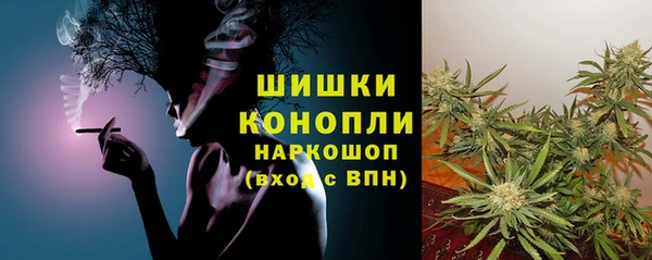 твердый Бородино