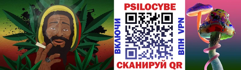 Псилоцибиновые грибы Psilocybe  MEGA tor  Рязань 